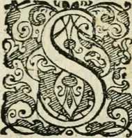 An illustration from Theatrum D.N. Iesu Christi : atrociorum cruciatuum c. lectori spectatori propositum (1658)