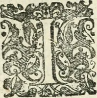An illustration from Theatrum D.N. Iesu Christi : atrociorum cruciatuum c. lectori spectatori propositum (1658)