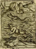 An illustration from Theatrum ethnico idololatrieum politico historicum, ethnicorum idololatrias, simulacra, templa, sacrificia & deos, illorum origines, ritus & caeremonias, quae in perficiendis sacris, fuerunt observata, quidque illis indicare voluerint, representans (1699)