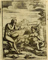 Picture 50 of 90 from Theatrum ethnico idololatrieum politico historicum, ethnicorum idololatrias, simulacra, templa, sacrificia & deos, illorum origines, ritus & caeremonias, quae in perficiendis sacris, fuerunt observata, quidque illis indicare voluerint, representans (1699), leaf 344