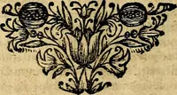 Picture 4 of 89 from Theatrum ethnico idololatrieum politico historicum, ethnicorum idololatrias, simulacra, templa, sacrificia & deos, illorum origines, ritus & caeremonias, quae in perficiendis sacris, fuerunt observata, quidque illis indicare voluerint, representans (1699), leaf 235