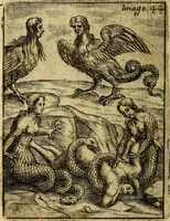 Picture 44 of 89 from Theatrum ethnico idololatrieum politico historicum, ethnicorum idololatrias, simulacra, templa, sacrificia & deos, illorum origines, ritus & caeremonias, quae in perficiendis sacris, fuerunt observata, quidque illis indicare voluerint, representans (1699), leaf 295