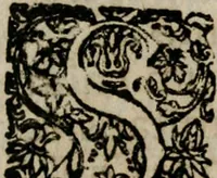 An illustration from Theatrum gloriae sanctorum (1696)