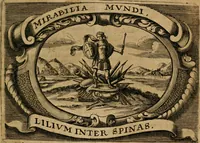 Picture 34 of 90 from Theatrum gloriae sanctorum (1696), leaf 180