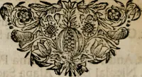 An illustration from Theatrum gloriae sanctorum (1696)