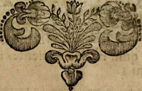 An illustration from Theatrum gloriae sanctorum (1696)