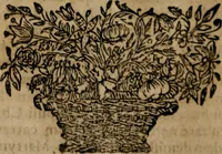 An illustration from Theatrum gloriae sanctorum (1696)