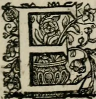 Picture 3 of 135 from Theatrum mortis humanæ tripartitum. I. Pars. Saltum mortis. II. Pars. Varia genera mortis. III. Pars. Pnas damnatorum continens. Figuris æneis illustratum, das ist, Schau-Bühne desz menschlichen Todts in drey Theil. 1. Theil. Der Toden Tantz. 2. Theil. Underschidliche Todts-Gattungen. 3. Theil. Der Verdambten Höllen-Peyn, vorstellend. Mit Schönen Kupffer-Stichen geziehrt vnd an Tag gegeben. Durch Joannem Weichardum Valvasor.. (1682), leaf 10