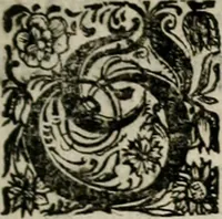 An illustration from Theatrum mortis humanæ tripartitum. I. Pars. Saltum mortis. II. Pars. Varia genera mortis. III. Pars. Pnas damnatorum continens. Figuris æneis illustratum, das ist, Schau-Bühne desz menschlichen Todts in drey Theil. 1. Theil. Der Toden Tantz. 2. Theil. Underschidliche Todts-Gattungen. 3. Theil. Der Verdambten Höllen-Peyn, vorstellend. Mit Schönen Kupffer-Stichen geziehrt vnd an Tag gegeben. Durch Joannem Weichardum Valvasor.. (1682)