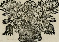 Picture 64 of 135 from Theatrum mortis humanæ tripartitum. I. Pars. Saltum mortis. II. Pars. Varia genera mortis. III. Pars. Pnas damnatorum continens. Figuris æneis illustratum, das ist, Schau-Bühne desz menschlichen Todts in drey Theil. 1. Theil. Der Toden Tantz. 2. Theil. Underschidliche Todts-Gattungen. 3. Theil. Der Verdambten Höllen-Peyn, vorstellend. Mit Schönen Kupffer-Stichen geziehrt vnd an Tag gegeben. Durch Joannem Weichardum Valvasor.. (1682), leaf 132