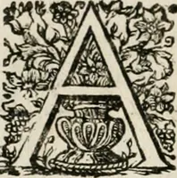 Picture 65 of 135 from Theatrum mortis humanæ tripartitum. I. Pars. Saltum mortis. II. Pars. Varia genera mortis. III. Pars. Pnas damnatorum continens. Figuris æneis illustratum, das ist, Schau-Bühne desz menschlichen Todts in drey Theil. 1. Theil. Der Toden Tantz. 2. Theil. Underschidliche Todts-Gattungen. 3. Theil. Der Verdambten Höllen-Peyn, vorstellend. Mit Schönen Kupffer-Stichen geziehrt vnd an Tag gegeben. Durch Joannem Weichardum Valvasor.. (1682), leaf 133