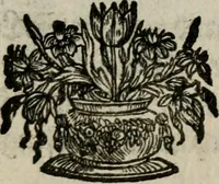An illustration from Theatrum mortis humanæ tripartitum. I. Pars. Saltum mortis. II. Pars. Varia genera mortis. III. Pars. Pnas damnatorum continens. Figuris æneis illustratum, das ist, Schau-Bühne desz menschlichen Todts in drey Theil. 1. Theil. Der Toden Tantz. 2. Theil. Underschidliche Todts-Gattungen. 3. Theil. Der Verdambten Höllen-Peyn, vorstellend. Mit Schönen Kupffer-Stichen geziehrt vnd an Tag gegeben. Durch Joannem Weichardum Valvasor.. (1682)