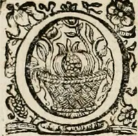 Picture 8 of 135 from Theatrum mortis humanæ tripartitum. I. Pars. Saltum mortis. II. Pars. Varia genera mortis. III. Pars. Pnas damnatorum continens. Figuris æneis illustratum, das ist, Schau-Bühne desz menschlichen Todts in drey Theil. 1. Theil. Der Toden Tantz. 2. Theil. Underschidliche Todts-Gattungen. 3. Theil. Der Verdambten Höllen-Peyn, vorstellend. Mit Schönen Kupffer-Stichen geziehrt vnd an Tag gegeben. Durch Joannem Weichardum Valvasor.. (1682), leaf 23