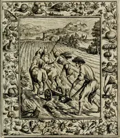 An illustration from Theatrum mortis humanæ tripartitum. I. Pars. Saltum mortis. II. Pars. Varia genera mortis. III. Pars. Pnas damnatorum continens. Figuris æneis illustratum, das ist, Schau-Bühne desz menschlichen Todts in drey Theil. 1. Theil. Der Toden Tantz. 2. Theil. Underschidliche Todts-Gattungen. 3. Theil. Der Verdambten Höllen-Peyn, vorstellend. Mit Schönen Kupffer-Stichen geziehrt vnd an Tag gegeben. Durch Joannem Weichardum Valvasor.. (1682)