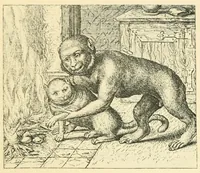Picture 21 of 26 from Theatrum morum; artliche Gesprach der Thier mit wahren Historien den Menschen zur Lehr. AEgidius Sadeler excud. [Hrsg. von Gesellschaft Deutscher Bücherfreunde in Böhmen.] (1608), leaf 237