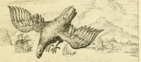 Picture 7 of 26 from Theatrum morum; artliche Gesprach der Thier mit wahren Historien den Menschen zur Lehr. AEgidius Sadeler excud. [Hrsg. von Gesellschaft Deutscher Bücherfreunde in Böhmen.] (1608), leaf 99