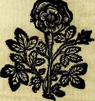 An illustration from Theatrum omium Scientiarum, sive Apparatus, quo exceptus fuit Excmus. Princeps D. Innicus de Guevara et Tassis Comes de Oñate, et Villamediana, etc., & etc., ac Neapolitani Regni prorex sapientissimus in Neapolitana Academia in Instauratione Studiorum anni 1649, etc (1650)