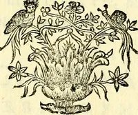 Picture 101 of 103 from Theatrum omium Scientiarum, sive Apparatus, quo exceptus fuit Excmus. Princeps D. Innicus de Guevara et Tassis Comes de Oñate, et Villamediana, etc., & etc., ac Neapolitani Regni prorex sapientissimus in Neapolitana Academia in Instauratione Studiorum anni 1649, etc (1650), leaf 182