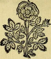 Picture 7 of 103 from Theatrum omium Scientiarum, sive Apparatus, quo exceptus fuit Excmus. Princeps D. Innicus de Guevara et Tassis Comes de Oñate, et Villamediana, etc., & etc., ac Neapolitani Regni prorex sapientissimus in Neapolitana Academia in Instauratione Studiorum anni 1649, etc (1650), leaf 27