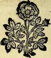 Picture 12 of 103 from Theatrum omium Scientiarum, sive Apparatus, quo exceptus fuit Excmus. Princeps D. Innicus de Guevara et Tassis Comes de Oñate, et Villamediana, etc., & etc., ac Neapolitani Regni prorex sapientissimus in Neapolitana Academia in Instauratione Studiorum anni 1649, etc (1650), leaf 33