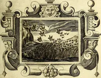 Picture 13 of 103 from Theatrum omium Scientiarum, sive Apparatus, quo exceptus fuit Excmus. Princeps D. Innicus de Guevara et Tassis Comes de Oñate, et Villamediana, etc., & etc., ac Neapolitani Regni prorex sapientissimus in Neapolitana Academia in Instauratione Studiorum anni 1649, etc (1650), leaf 34