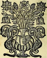 Picture 14 of 103 from Theatrum omium Scientiarum, sive Apparatus, quo exceptus fuit Excmus. Princeps D. Innicus de Guevara et Tassis Comes de Oñate, et Villamediana, etc., & etc., ac Neapolitani Regni prorex sapientissimus in Neapolitana Academia in Instauratione Studiorum anni 1649, etc (1650), leaf 35
