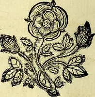 Picture 16 of 103 from Theatrum omium Scientiarum, sive Apparatus, quo exceptus fuit Excmus. Princeps D. Innicus de Guevara et Tassis Comes de Oñate, et Villamediana, etc., & etc., ac Neapolitani Regni prorex sapientissimus in Neapolitana Academia in Instauratione Studiorum anni 1649, etc (1650), leaf 37