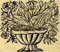 An illustration from Theatrum stultorum joco-serium, sive, Mundus fatuus emblematicè expressus (1669)