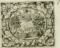 An illustration from Theatrum temporaneum aeternitati Caesaris Montii S.R.E. cardinalis et archiep. Mediolanen. sacrum (1636)