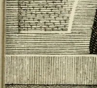 An illustration from Theatrum temporaneum aeternitati Caesaris Montii S.R.E. cardinalis et archiep. Mediolanen. sacrum (1636)