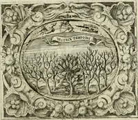 An illustration from Theatrum temporaneum aeternitati Caesaris Montii S.R.E. cardinalis et archiep. Mediolanen. sacrum (1636)
