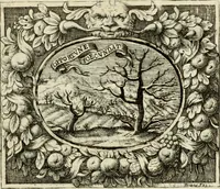 An illustration from Theatrum temporaneum aeternitati Caesaris Montii S.R.E. cardinalis et archiep. Mediolanen. sacrum (1636)