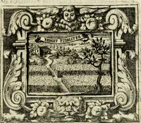Picture 26 of 91 from Theatrum temporaneum aeternitati Caesaris Montii S.R.E. cardinalis et archiep. Mediolanen. sacrum (1636), leaf 68