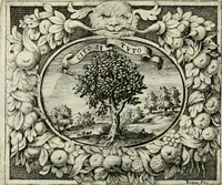 An illustration from Theatrum temporaneum aeternitati Caesaris Montii S.R.E. cardinalis et archiep. Mediolanen. sacrum (1636)