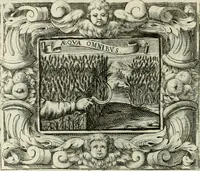 Picture 43 of 91 from Theatrum temporaneum aeternitati Caesaris Montii S.R.E. cardinalis et archiep. Mediolanen. sacrum (1636), leaf 95