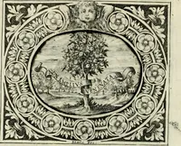 An illustration from Theatrum temporaneum aeternitati Caesaris Montii S.R.E. cardinalis et archiep. Mediolanen. sacrum (1636)