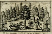 Picture 7 of 8 from Theatrum virtutis et honoris, augustis magnorum Caesarum filiis ab augustissimis parentibus ad imperium destinatis exstructum, et illustrissimis, perillustribus, reverendis, religiosis, praenobilibus, nobilibus, ac doctissimis DD. AA. LL. et philosophiae doctoribus (1697), leaf 34