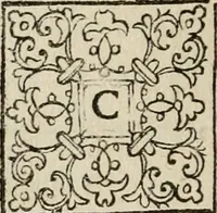 Picture 7 of 107 from Theatrum vitae humanæ. (1596), leaf 19
