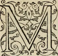 An illustration from Theatrum vitae humanæ. (1596)