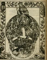 An illustration from Theatrvm chemicvm britannicum : containing severall poeticall pieces of our famous English philosophers, who have written the hermetique mysteries in their owne ancient language (1652)