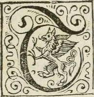An illustration from Theatrvm chemicvm britannicum : containing severall poeticall pieces of our famous English philosophers, who have written the hermetique mysteries in their owne ancient language (1652)