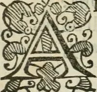 An illustration from Theatrvm chemicvm britannicum : containing severall poeticall pieces of our famous English philosophers, who have written the hermetique mysteries in their owne ancient language (1652)