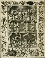 An illustration from Theatrvm chemicvm britannicum : containing severall poeticall pieces of our famous English philosophers, who have written the hermetique mysteries in their owne ancient language (1652)