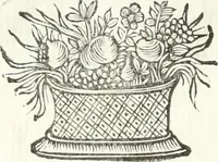 An illustration from Theatrvm omnivm scientiarvm, sive, Apparatvs qvo exceptvs fvit exc.mvs princeps d. Innicvs de Gvevara et Tassis, comes de Oñate & Villamediana, &c. ac Neapolitani regni prorex sapientissimvs, in Neapolitana academia in instavratione stvdiorvm anni MDCXLIX : cvm post sedatos Neapolitani regni tvmvltvs tanto principe avspice neapolitana Pallas armorvm tvrbine pene abrvta capvt erexit (1650)