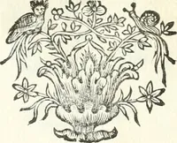 An illustration from Theatrvm omnivm scientiarvm, sive, Apparatvs qvo exceptvs fvit exc.mvs princeps d. Innicvs de Gvevara et Tassis, comes de Oñate & Villamediana, &c. ac Neapolitani regni prorex sapientissimvs, in Neapolitana academia in instavratione stvdiorvm anni MDCXLIX : cvm post sedatos Neapolitani regni tvmvltvs tanto principe avspice neapolitana Pallas armorvm tvrbine pene abrvta capvt erexit (1650)