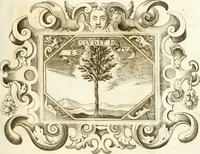 An illustration from Theatrvm omnivm scientiarvm, sive, Apparatvs qvo exceptvs fvit exc.mvs princeps d. Innicvs de Gvevara et Tassis, comes de Oñate & Villamediana, &c. ac Neapolitani regni prorex sapientissimvs, in Neapolitana academia in instavratione stvdiorvm anni MDCXLIX : cvm post sedatos Neapolitani regni tvmvltvs tanto principe avspice neapolitana Pallas armorvm tvrbine pene abrvta capvt erexit (1650)