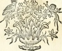 An illustration from Theatrvm omnivm scientiarvm, sive, Apparatvs qvo exceptvs fvit exc.mvs princeps d. Innicvs de Gvevara et Tassis, comes de Oñate & Villamediana, &c. ac Neapolitani regni prorex sapientissimvs, in Neapolitana academia in instavratione stvdiorvm anni MDCXLIX : cvm post sedatos Neapolitani regni tvmvltvs tanto principe avspice neapolitana Pallas armorvm tvrbine pene abrvta capvt erexit (1650)