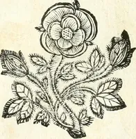 An illustration from Theatrvm omnivm scientiarvm, sive, Apparatvs qvo exceptvs fvit exc.mvs princeps d. Innicvs de Gvevara et Tassis, comes de Oñate & Villamediana, &c. ac Neapolitani regni prorex sapientissimvs, in Neapolitana academia in instavratione stvdiorvm anni MDCXLIX : cvm post sedatos Neapolitani regni tvmvltvs tanto principe avspice neapolitana Pallas armorvm tvrbine pene abrvta capvt erexit (1650)