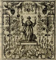 An illustration from Theatrvm temporanevm æternitati Cæsaris Montii, S.R.E. cardinalis et archiep. mediolanen. sacrvm (1635)