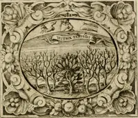 An illustration from Theatrvm temporanevm æternitati Cæsaris Montii, S.R.E. cardinalis et archiep. mediolanen. sacrvm (1635)